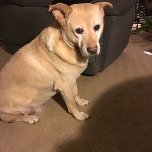 Meet your Posher, Jon